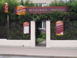 Locusta